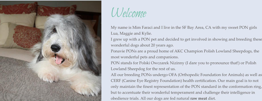 Welcome My name is Mim Faraci and I live in the SF Bay Area, CA with my sweet PON girls Lua, Maggie and Kylie. I grew up with a PON pet and decided to get involved in showing and breeding these wonderful dogs about 20 years ago. Ponavie PONs are a proud home of AKC Champion Polish Lowland Sheepdogs, the most wonderful pets and companions.PON stands for Polski Owczarek Nizinny (I dare you to pronounce that!) or Polish Lowland Sheepdog for the rest of us. All our breeding PONs undergo OFA (Orthopedic Foundation for Animals) as well as CERF (Canine Eye Registry Foundation) health certification. Our main goal is to not only maintain the finest representation of the PON standard in the conformation ring, but to accentuate their wonderful temperament and challenge their intelligence in obedience trials. All our dogs are fed natural raw meat diet.   