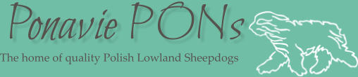 The home of quality Polish Lowland Sheepdogs Ponavie PONs