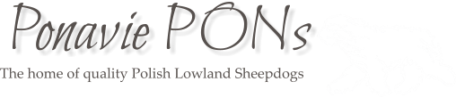 The home of quality Polish Lowland Sheepdogs Ponavie PONs