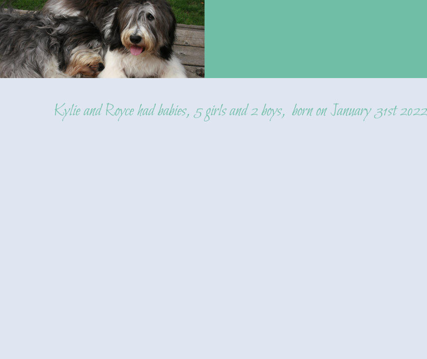 Kylie and Royce had babies, 5 girls and 2 boys,  born on January 31st 2022