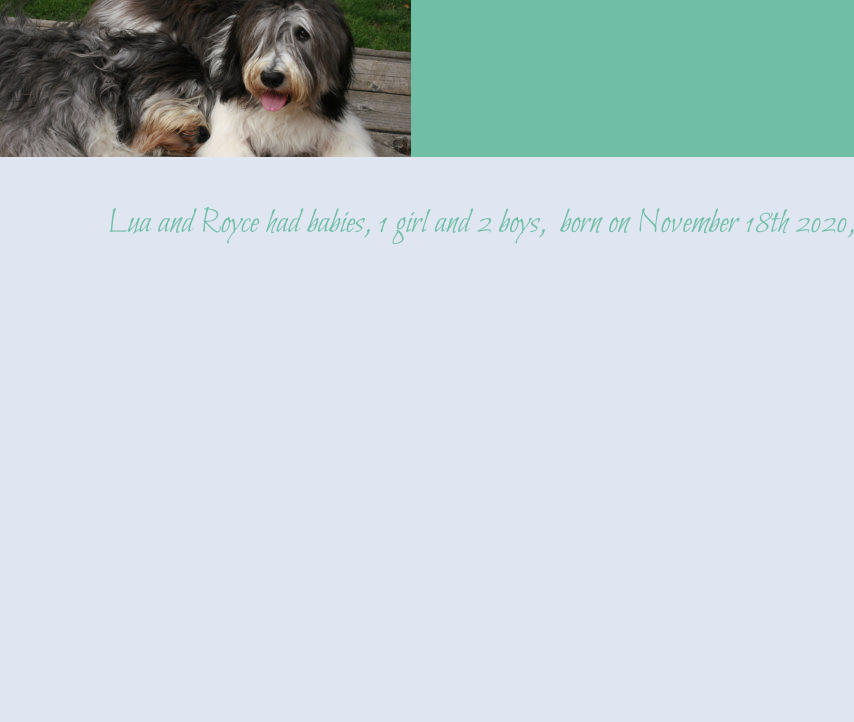 Lua and Royce had babies, 1 girl and 2 boys,  born on November 18th 2020,