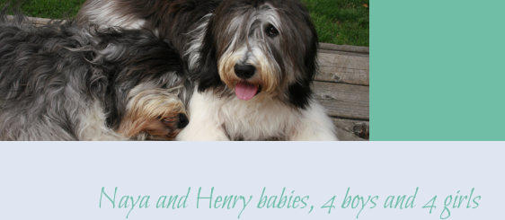 Naya and Henry babies, 4 boys and 4 girls