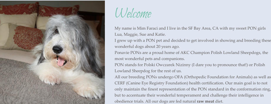 Welcome My name is Mim Faraci and I live in the SF Bay Area, CA with my sweet PON girls Lua, Maggie, Sue and Katie. I grew up with a PON pet and decided to get involved in showing and breeding these wonderful dogs about 20 years ago. Ponavie PONs are a proud home of AKC Champion Polish Lowland Sheepdogs, the most wonderful pets and companions.PON stands for Polski Owczarek Nizinny (I dare you to pronounce that!) or Polish Lowland Sheepdog for the rest of us. All our breeding PONs undergo OFA (Orthopedic Foundation for Animals) as well as CERF (Canine Eye Registry Foundation) health certification. Our main goal is to not only maintain the finest representation of the PON standard in the conformation ring, but to accentuate their wonderful temperament and challenge their intelligence in obedience trials. All our dogs are fed natural raw meat diet. 
