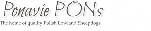 The home of quality Polish Lowland Sheepdogs Ponavie PONs