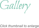 Gallery Click thumbnail to enlarge